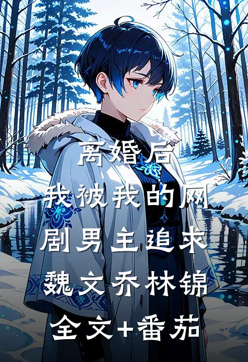 离婚后，我被我的网剧男主追求魏文乔林锦全文+番茄