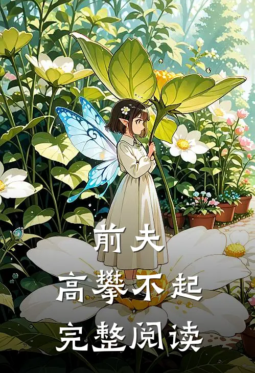 前夫，高攀不起完整阅读