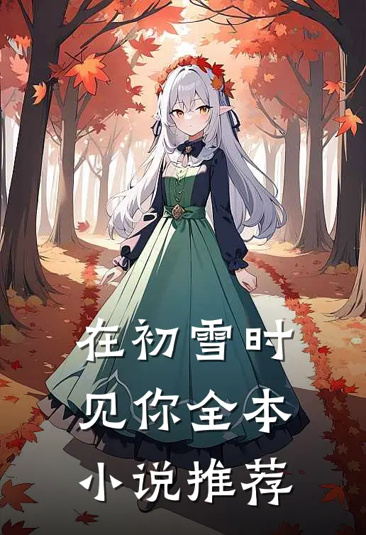 在初雪时见你全本小说推荐