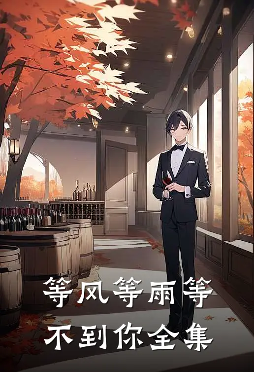 等风等雨等不到你 全集