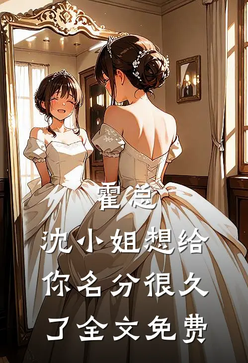 霍总，沈小姐想给你名分很久了全文免费