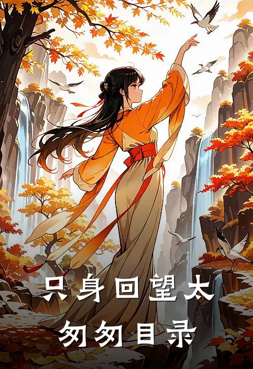 只身回望太匆匆目录