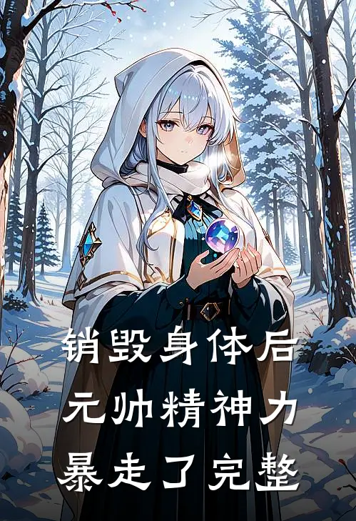 销毁身体后，元帅精神力暴走了完整