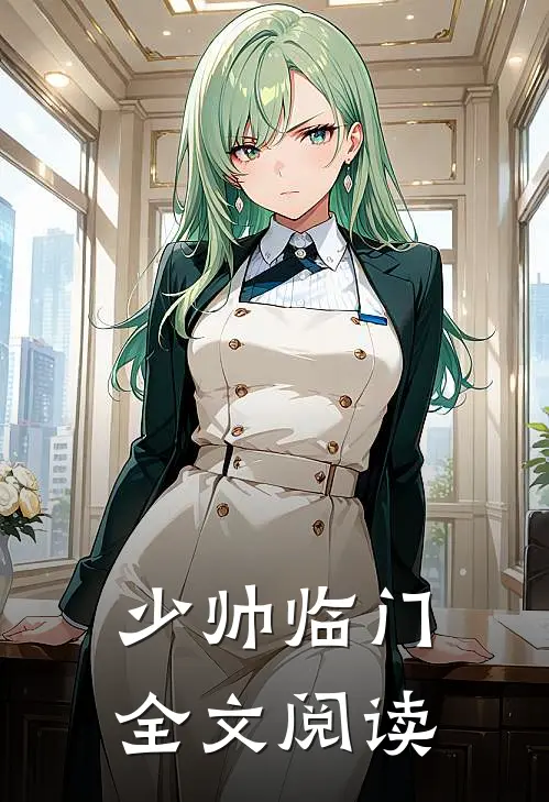 少帅临门全文阅读