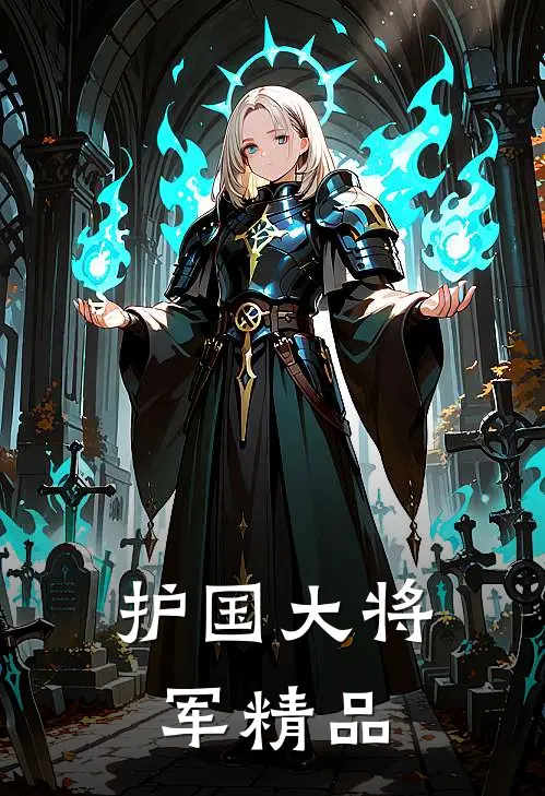 护国大将军精品
