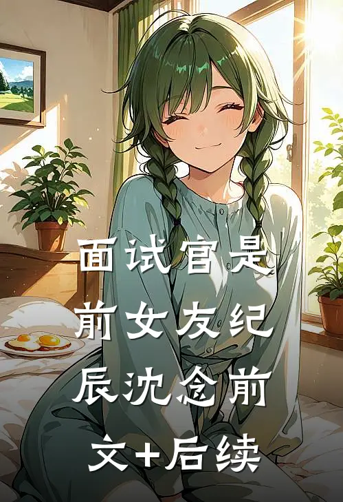 面试官是前女友纪辰沈念前文+后续
