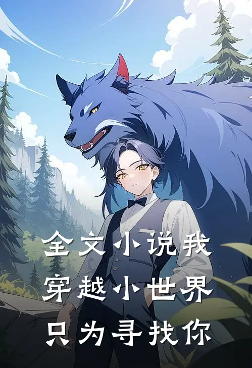 全文小说我穿越小世界，只为寻找你