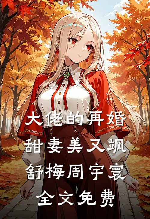 大佬的再婚甜妻美又飒舒梅周宇寰全文免费