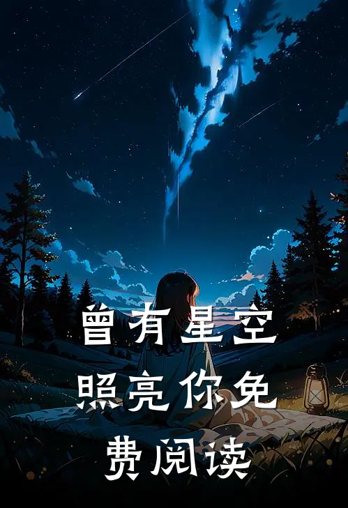 曾有星空照亮你免费阅读