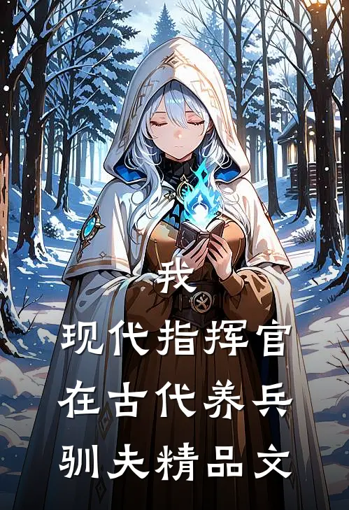 我，现代指挥官，在古代养兵驯夫精品文